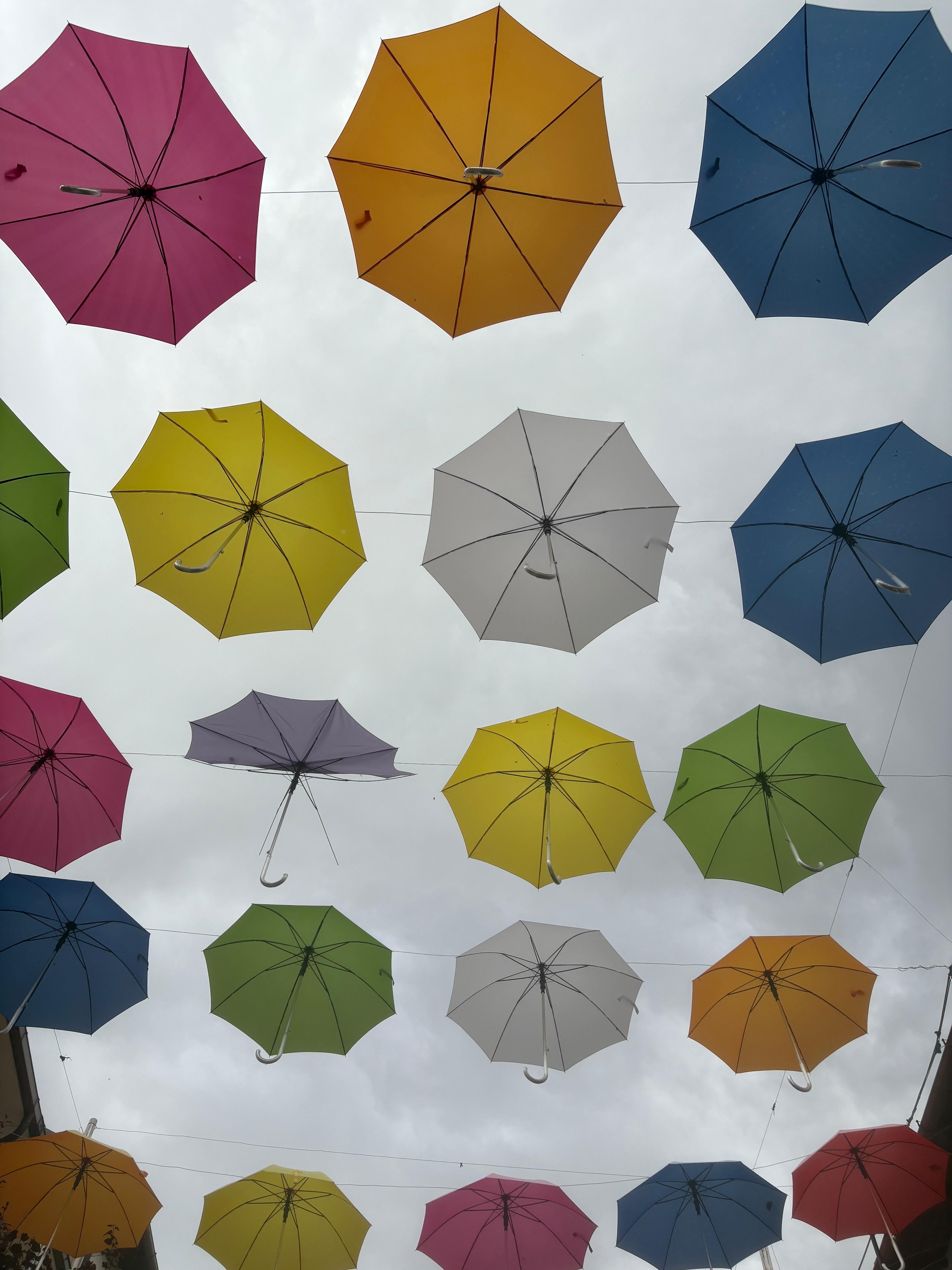 Zeno e il coraggio di colorare fuori le righe